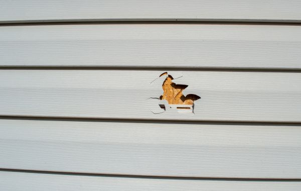 Cost of Siding Hole Patching in Niceville