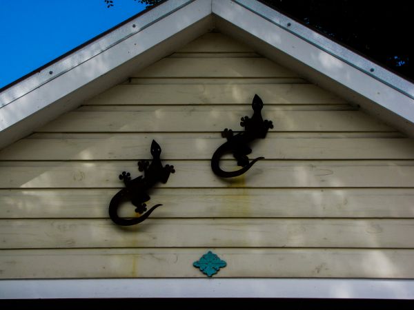Cost of Shiplap Siding Installation in Niceville