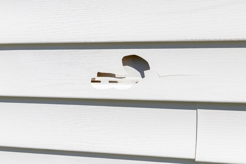 Vinyl Siding Repair - Removal of Damaged Panel