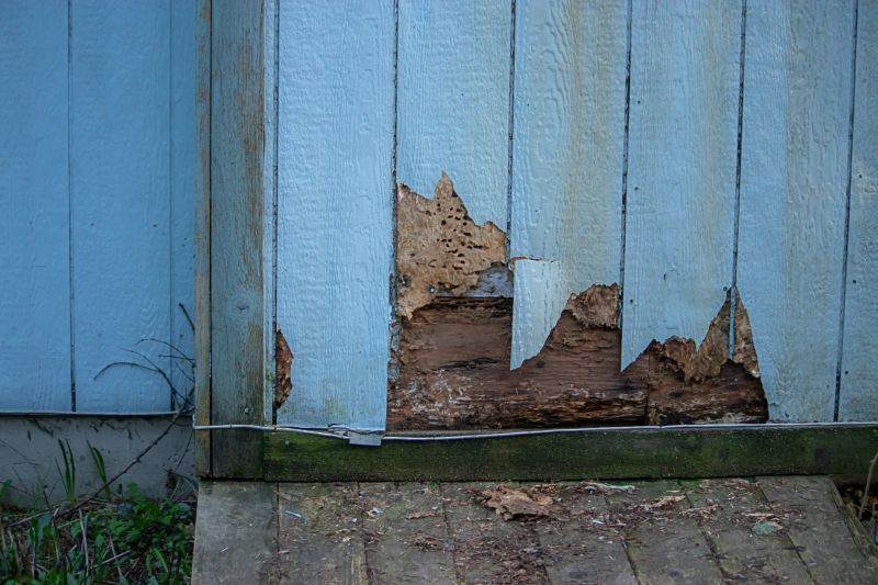 Wood Siding Repair